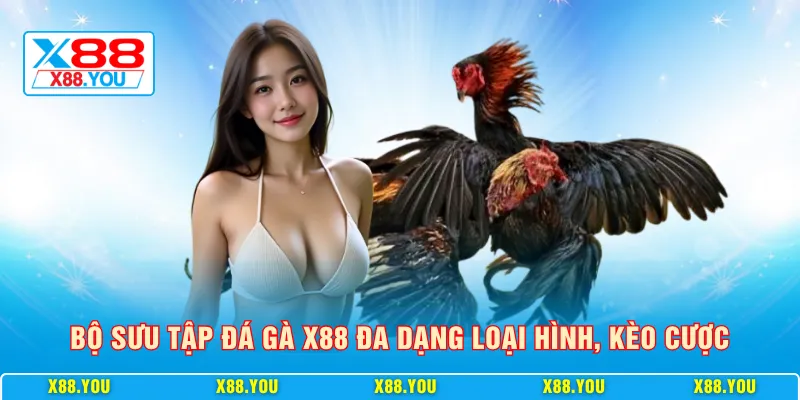 Bộ sưu tập đá gà X88 đa dạng loại hình, kèo cược