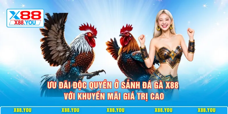 Ưu đãi độc quyền ở sảnh đá gà X88 với khuyến mãi giá trị cao